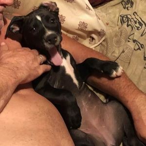 Meet your Posher, Shelly k.